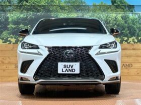 Lexus NX 2019 ＮＸ３００